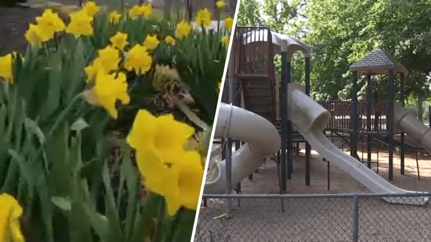 Flowers and playground in split image
