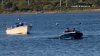 20-foot basking shark spotted off the coast in Rhode Island