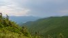 NY hikers reported their companion died. Turns out, they were just high on mushrooms