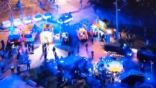 Mossos